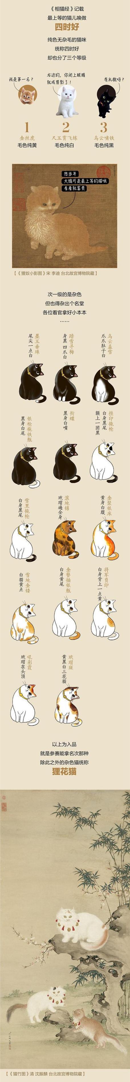 相猫经最吉利三个猫