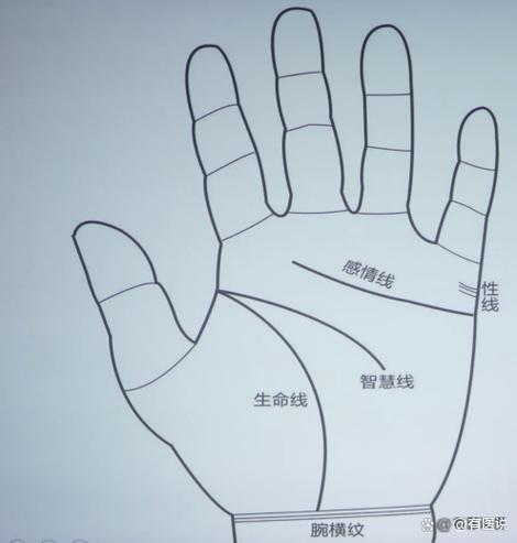 缝纫机底线浮线