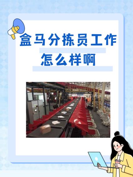 新手分拣员最害怕什么