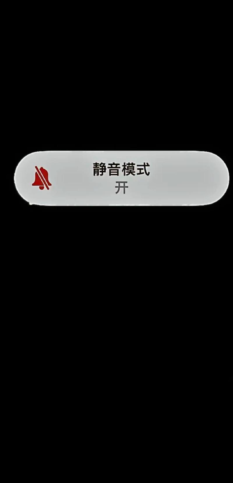手机的静音模式在哪里截图