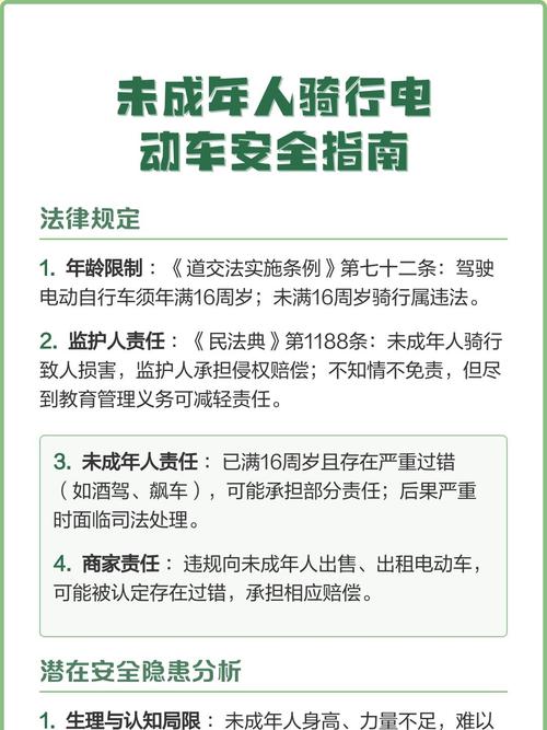 电动车显示闪电图标是什么意思