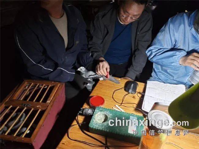 科汇鸽钟安装视频
