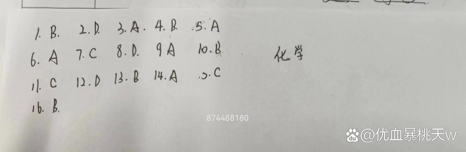 金太阳提前免费答案