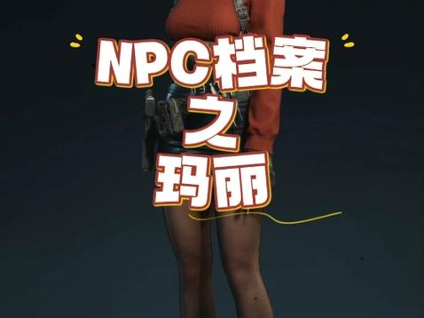 npc所有人的资料