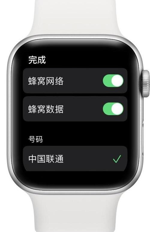苹果手表连不上蜂窝缩略图
