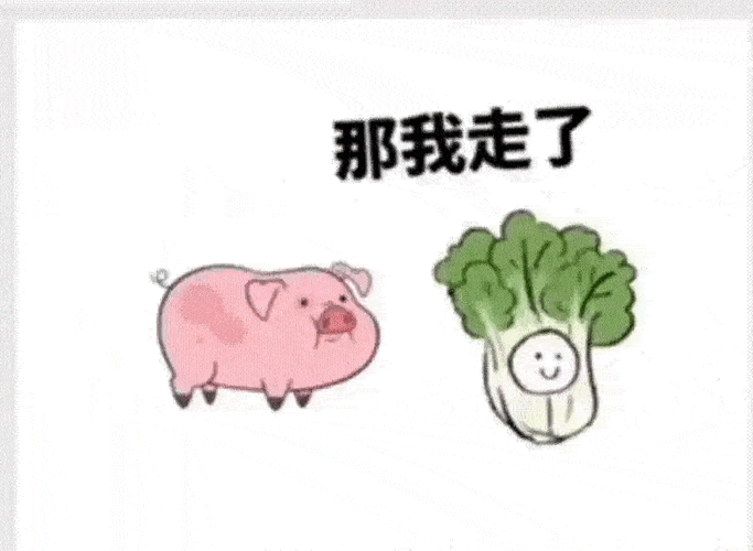 白菜走了表情包gif
