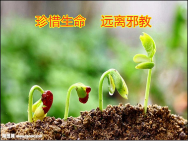 为什么没有全能大神了