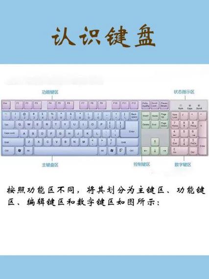 初学者怎样记住键盘