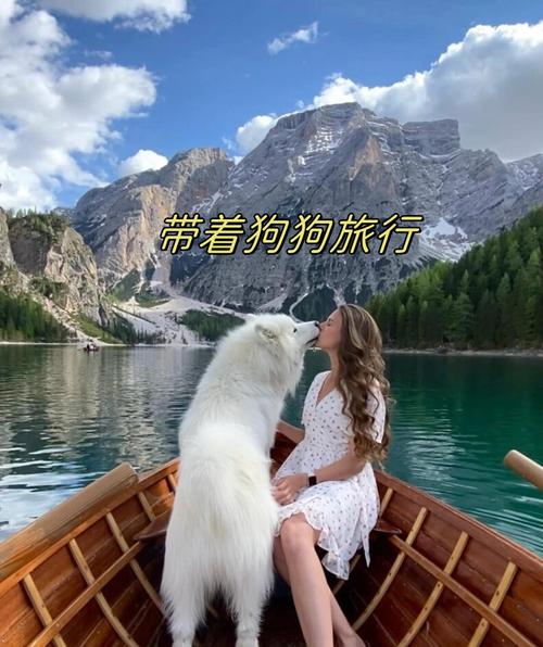 官方正版小狗爱旅游
