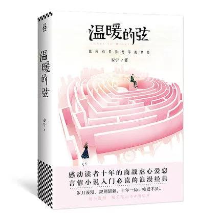 温暖的弦 小说