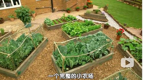 小花园大花园律动教案