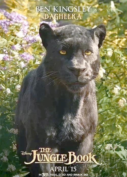 印度版奇幻森林叫什么