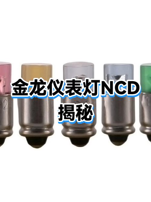 金龙每天开灯多久