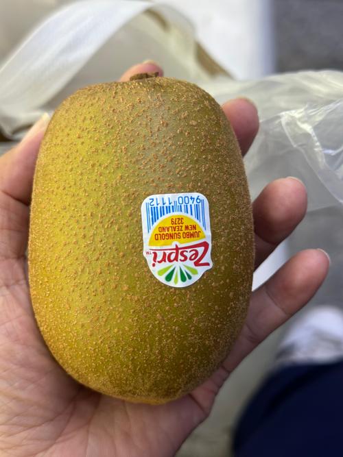奇异果怎么倍速