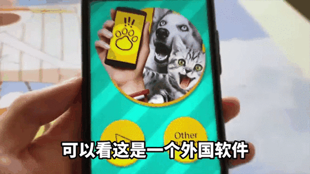 买狗用什么软件图标
