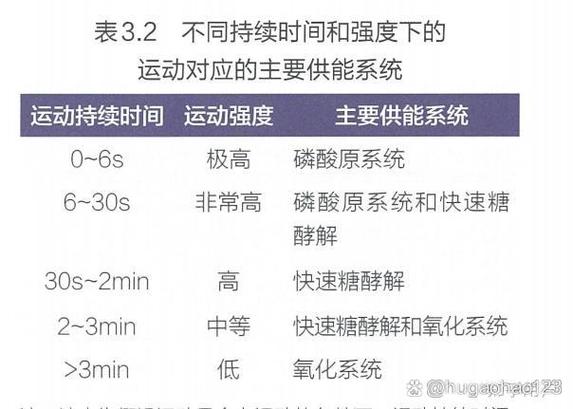 能代替跑步的有氧运动