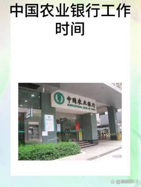 农业银行限额时间每天几点