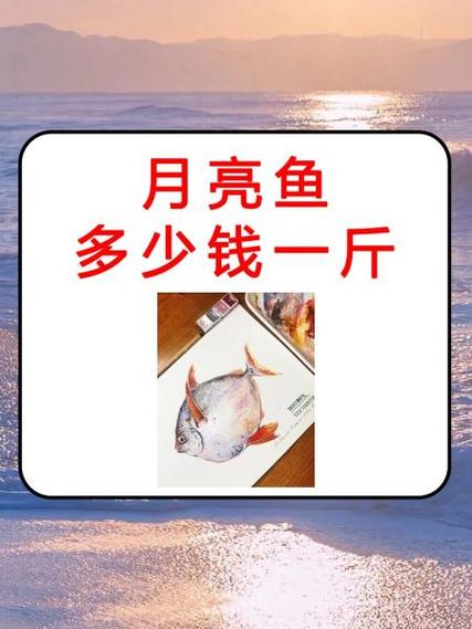 鱼多少钱一条