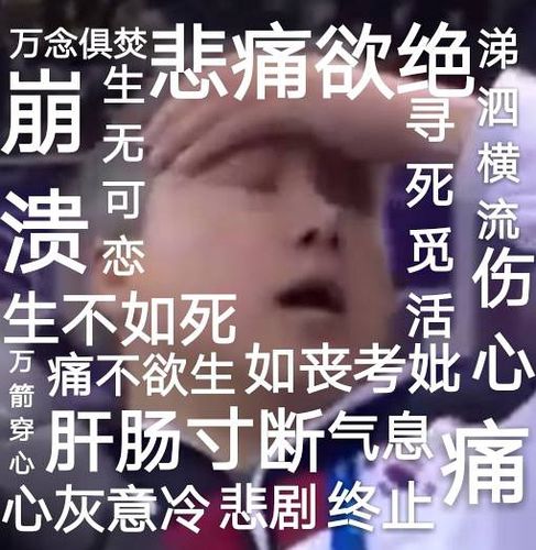 生不如死的表情包