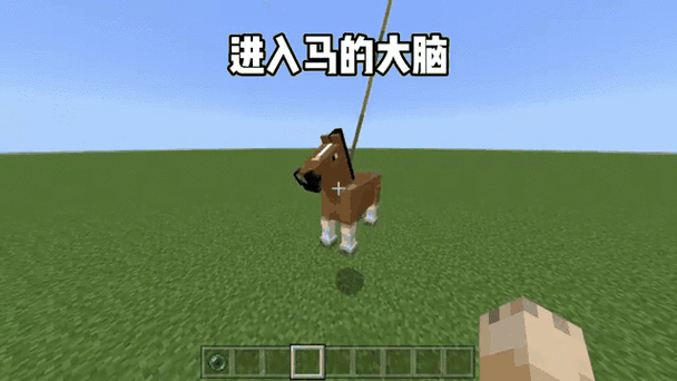 我的世界怎样让马他们变得很快