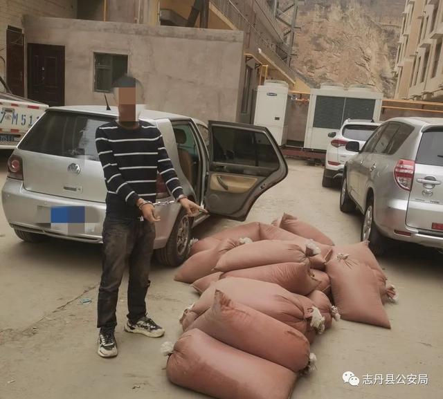 偷卖原油怎么处理