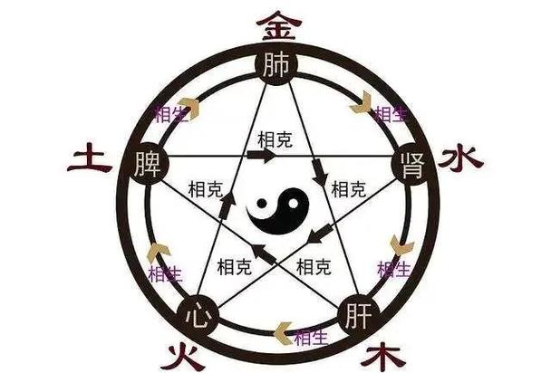 五行健康15分钟全集截图