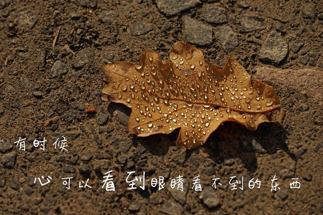 QQ发的说说的照片会在相册里