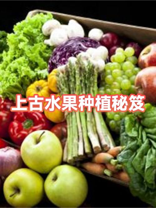 上古水果种子怎么获得截图