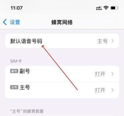 苹果手机用两张卡怎么切换网络