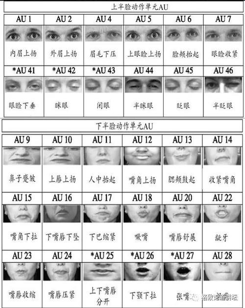 喜欢深色口红的女人性格图标