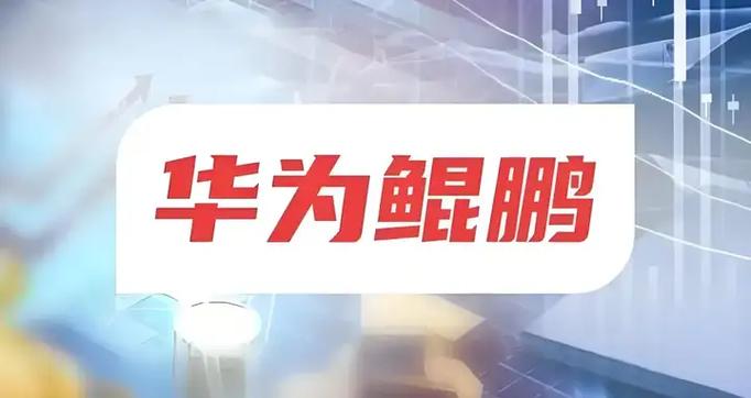 华为鲲鹏是干什么的