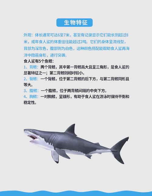 海军使用毒蝎还是狂鲨
