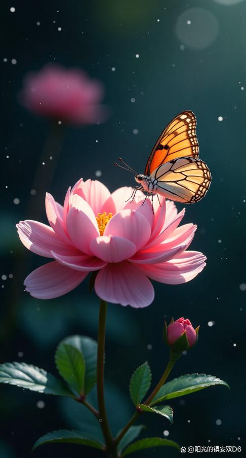 花中蝴蝶