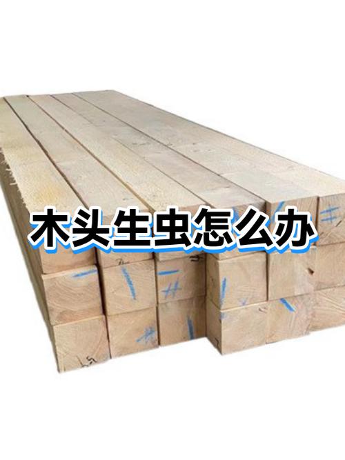 预防木头生虫的有效方法