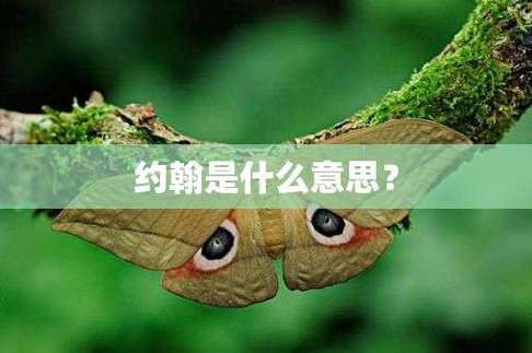 约翰的中文意思是什么
