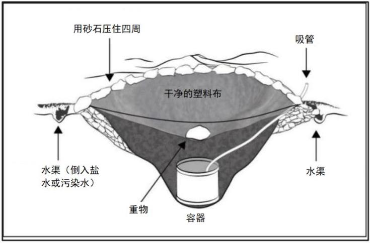 荒岛求生如何获得淡水缩略图