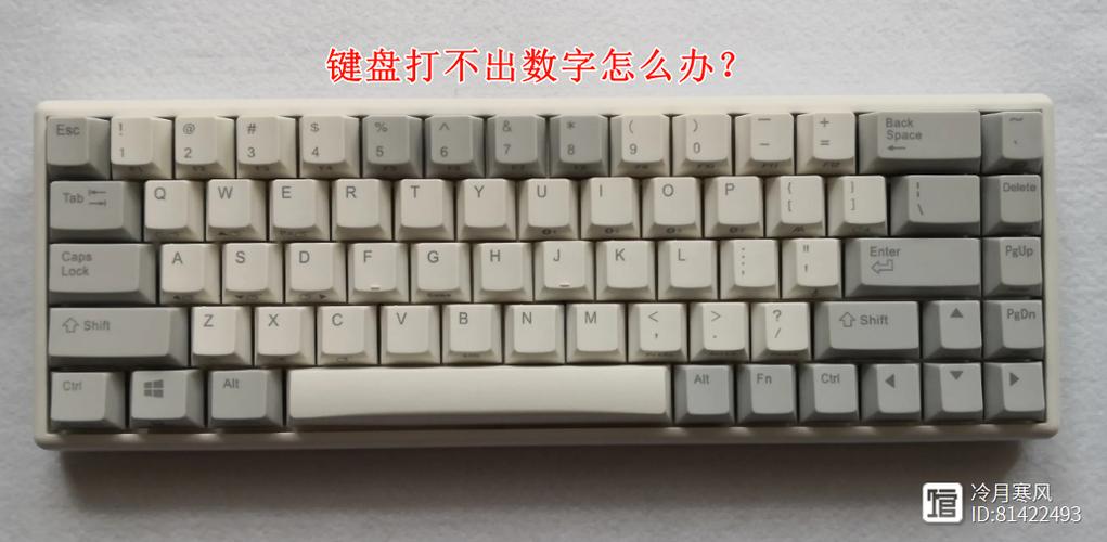 笔记本电脑数字键打不出数字1234
