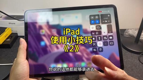 苹果ipad怎么开启麦克风权限截图