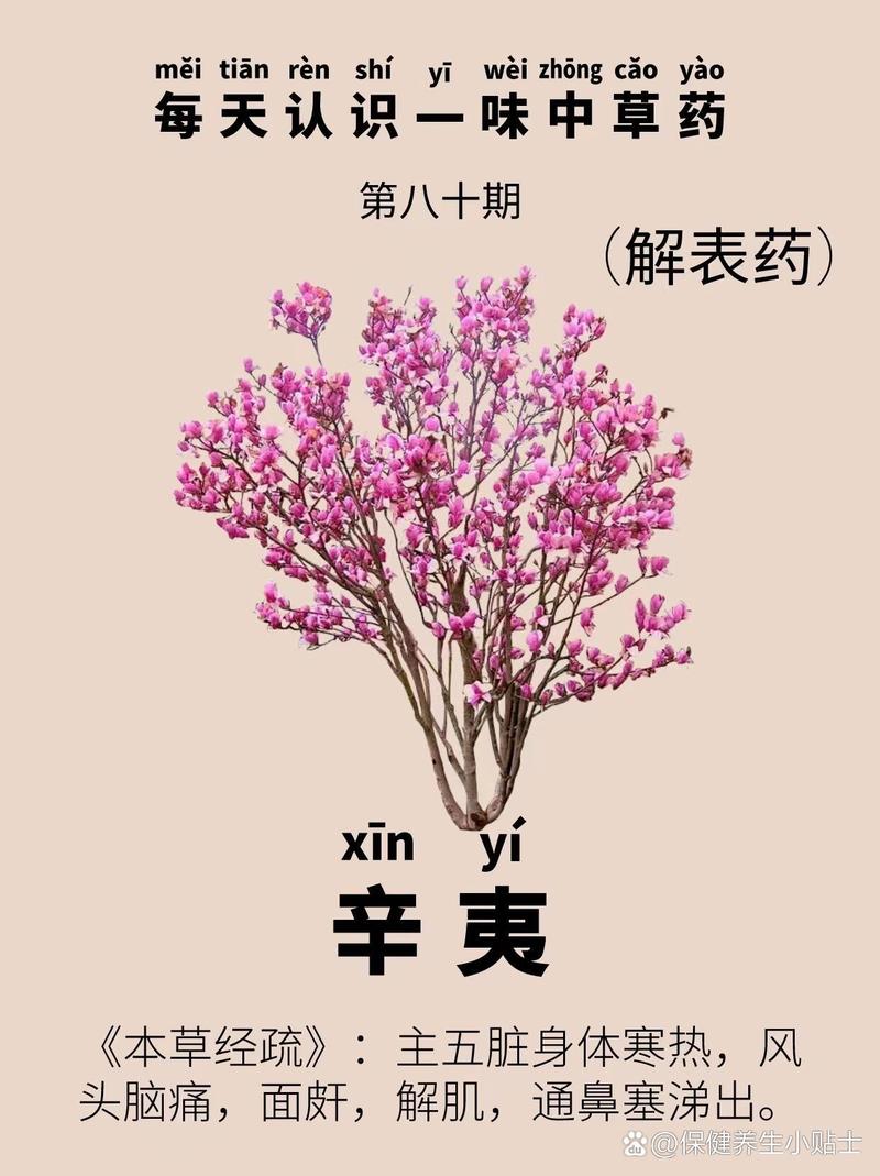 辛夷煎多久缩略图