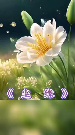 歌曲《尘缘》