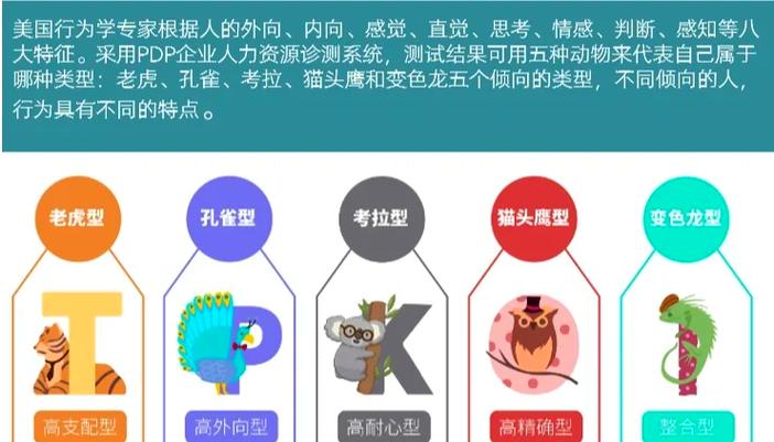 PDP测试详细解析截图