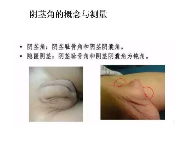 华为手机应用隐藏技巧