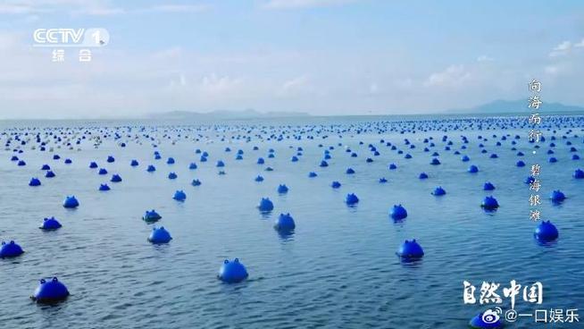 海上浮球是干嘛的