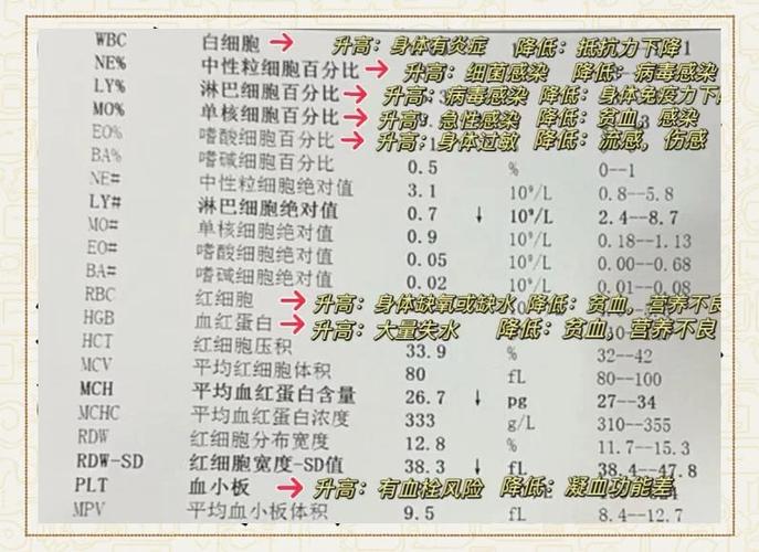 hct在医学上代表什么