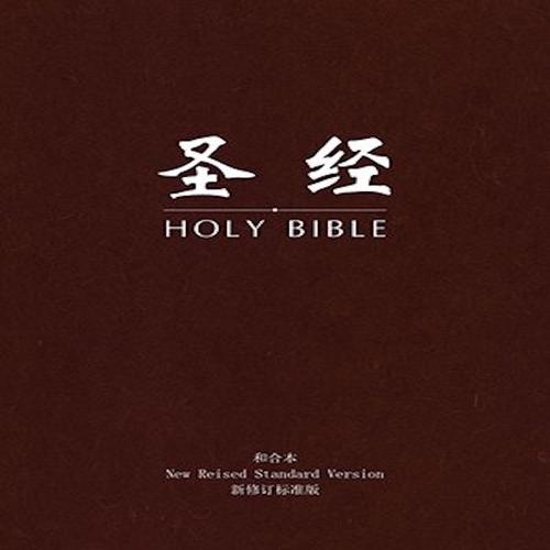 下载基督教圣经书缩略图