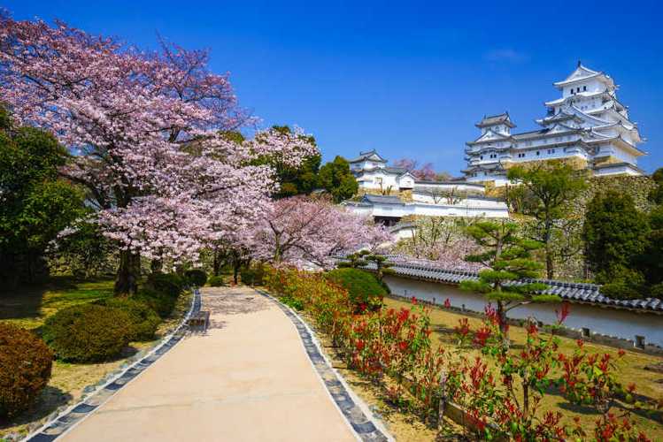 樱花校园樱花城堡
