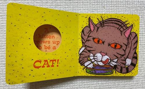 kitten和cat英文区别