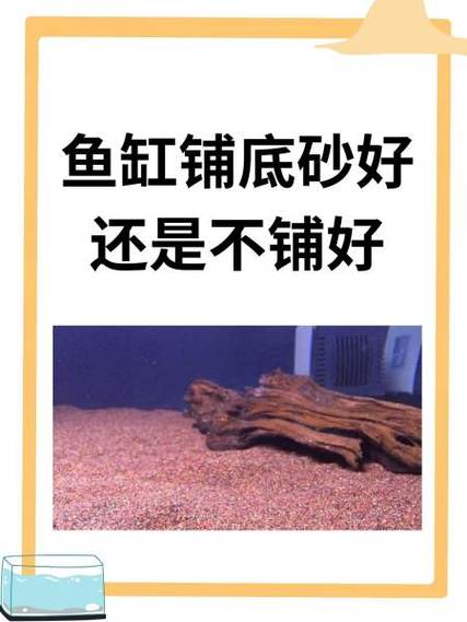 鱼缸放沙子好还是不放好