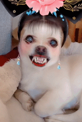 snapshot狗狗特效在哪里