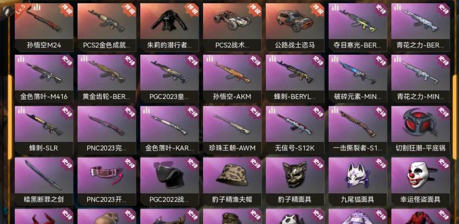 PUBG稀有物品大全